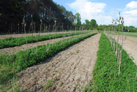 Preparing for Seed Saving at Twin Oaks Seed Farm Image